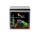 /msite/products/detail/productid/59528360/id/650124.html